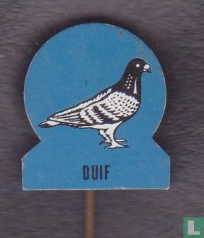 Duif