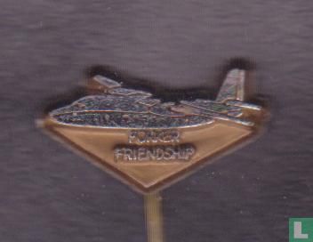 Fokker Friendship [zilver op brons]