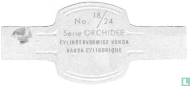 Cylindervormige Vanda - Image 2