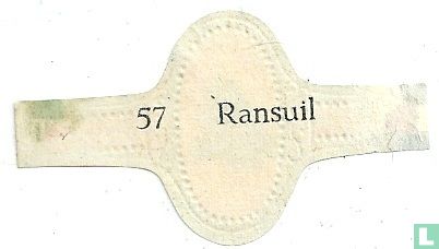 Ransuil - Bild 2