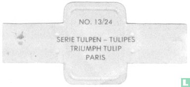 Triumph Tulip - Paris - Bild 2