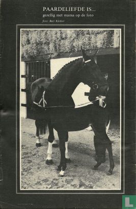 Ponyclub 128 - Afbeelding 2