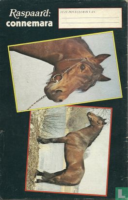 Ponyclub 131 - Image 2