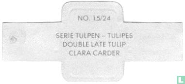 Double Late Tulip - Clara Carder - Afbeelding 2