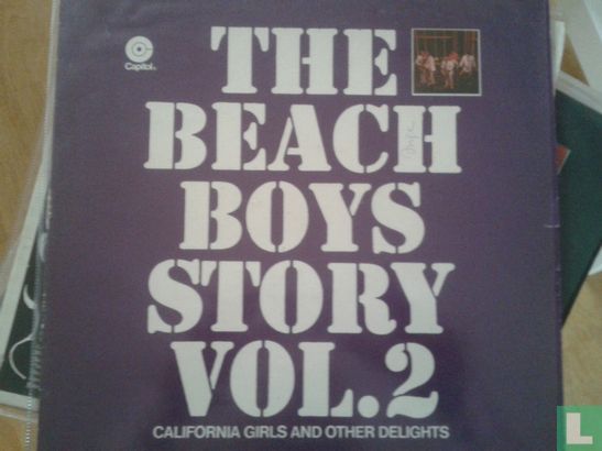 The Beach Boys Story Vol.2  - Afbeelding 1