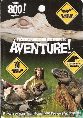 Alligator Bay - Image 2