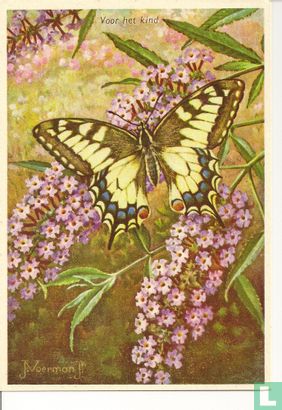 voor het kind-Vlinder: koninginnepage op budleya