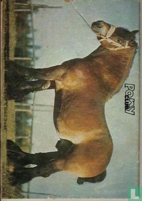 Ponyclub 17 - Image 2