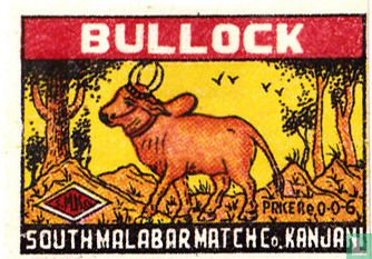 Bullock