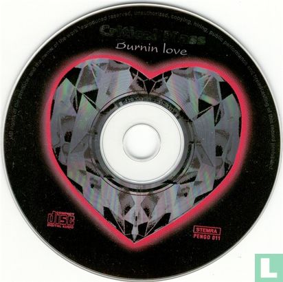 Burnin Love - Afbeelding 3