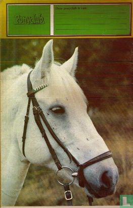 Ponyclub 167 - Image 2