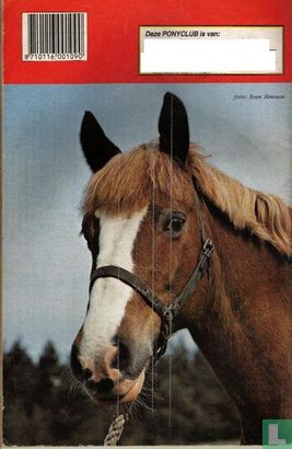 Ponyclub 208 - Image 2