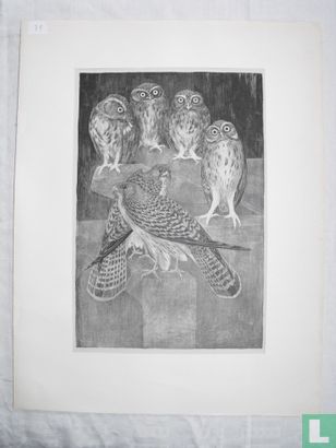 Litho met uilen en valken - Afbeelding 2