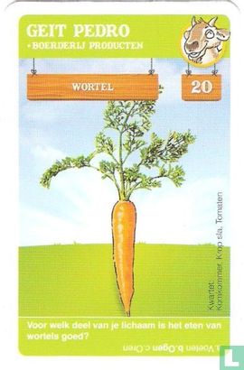 Wortel - Bild 1