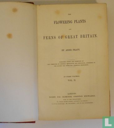The flowering plants and ferns of Great Britian II - Afbeelding 3