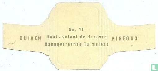 Hannoveraanse Tuimelaar - Bild 2