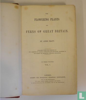 The flowering plants and ferns of Great Britian I - Image 3