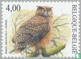 Eurasian eagle-owl - Image 1