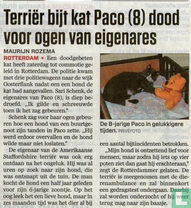 Terrier bijt kat Paco (8) dood voor ogen eigenares