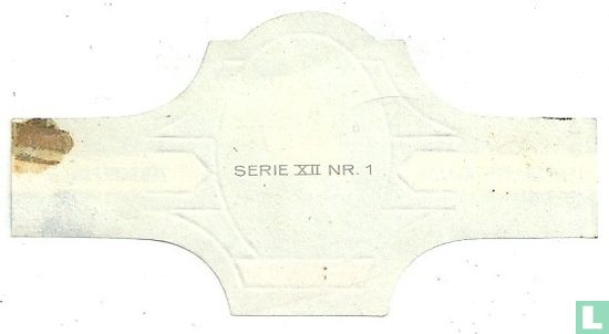12m2 Sharpie klasse - Image 2