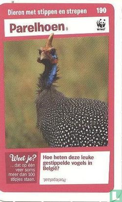 Parelhoen - Image 1