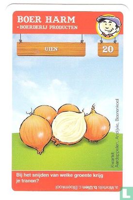 Uien - Bild 1