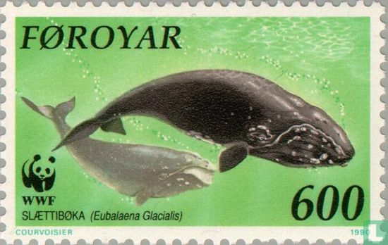Whales of the North Atlantic