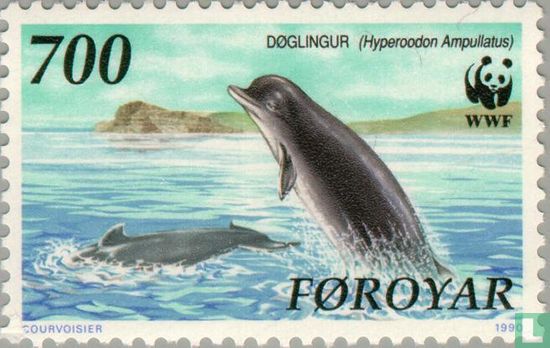 Baleines de l'Atlantique Nord