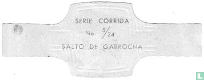 Salto de garrocha - Afbeelding 2