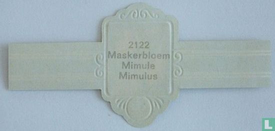 Maskerbloem - Mimulus - Image 2