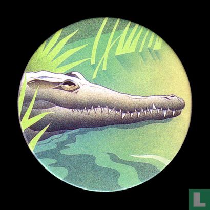 The Orinoco Crocodile - Image 1