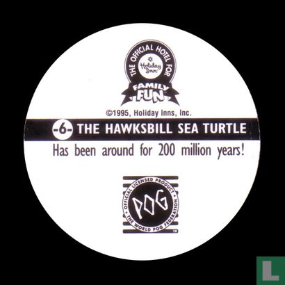 Die Hawksbill Seeschildkröte - Bild 2