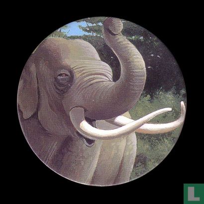 The Asian elephant - Afbeelding 1