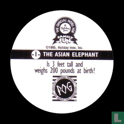 Die asiatischen Elefanten - Bild 2