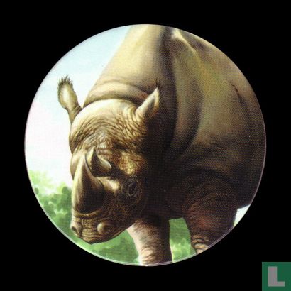 Le rhinocéros noir - Image 1