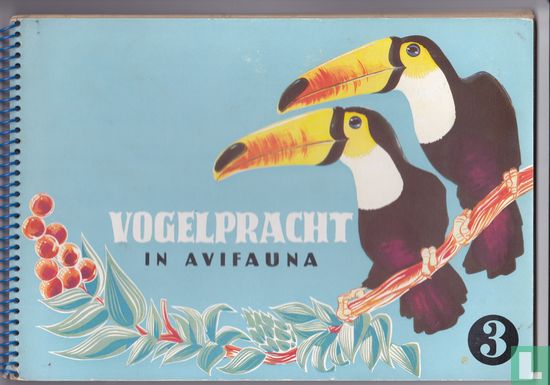 Vogelpracht in Avifauna - Image 1