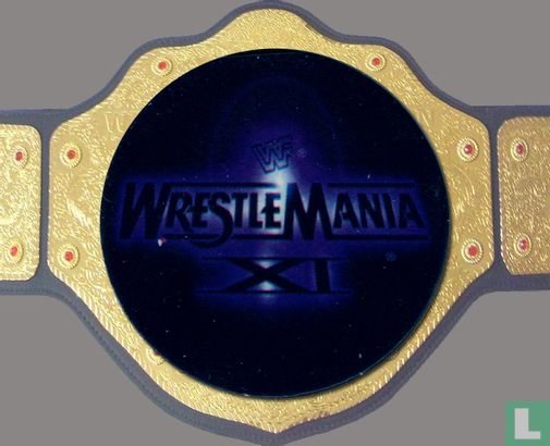 Wrestle Mania XI - Image 1