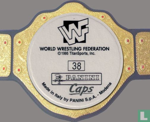WWF Survivor Series - Bild 2