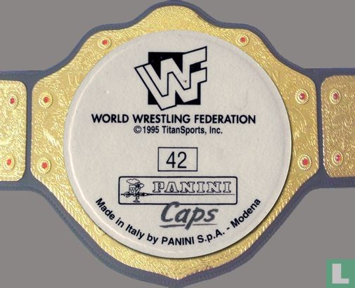WWF WrestleMania X - Afbeelding 2