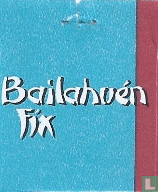 Bailahuén Fix - Afbeelding 3