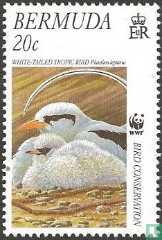 WWF - Bermuda Stormvogel