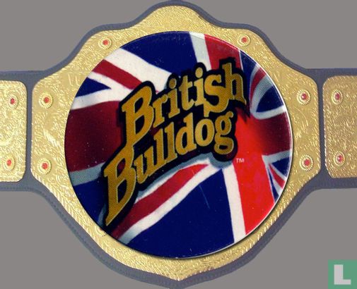 Britische Bulldogge - Bild 1