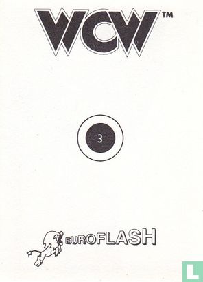 WCW Euroflash - Image 2