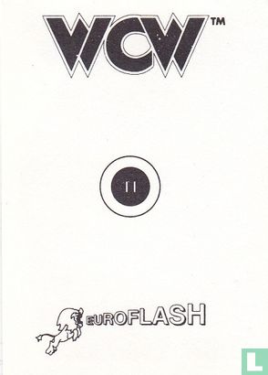 WCW Euroflash   - Image 2