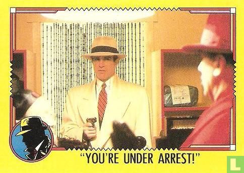 You're Under Arrest! - Afbeelding 1