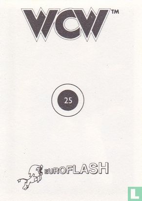 WCW Euroflash - Image 2