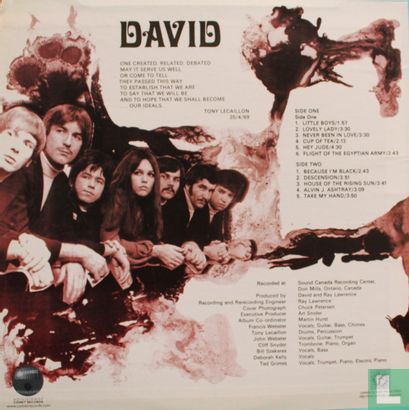 David - Image 2