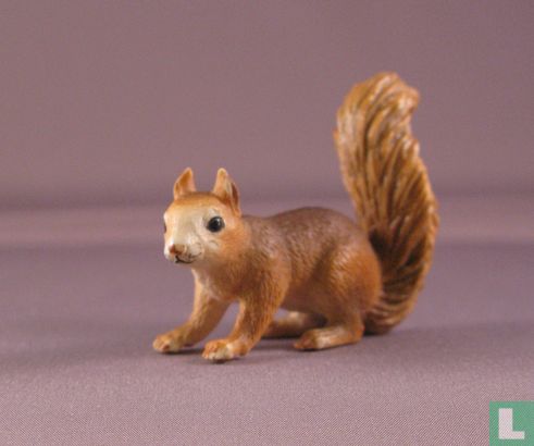 Squirrel - assis - Image 1