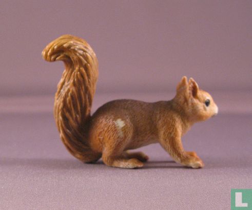 Squirrel - assis - Image 2