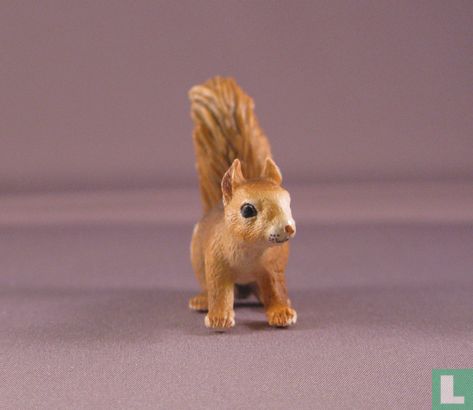 Squirrel - assis - Image 3